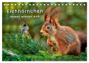 Roder, Peter. Eichhörnchen - immer wieder süß (Tischkalender 2024 DIN A5 quer), CALVENDO Monatskalender - Eichhörnchen - flinke kleine Kobolde in Wald und Park.. Calvendo, 2023.