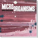 Micro Organisms (CD-Digipak)