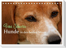Graue Schnuten - Hunde in den besten Jahren (Tischkalender 2025 DIN A5 quer), CALVENDO Monatskalender