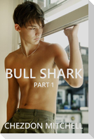 Bull Shark Part 1