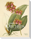 RHS Orchids