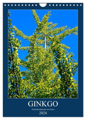 Ginkgo (Wandkalender 2024 DIN A4 hoch), CALVENDO Monatskalender