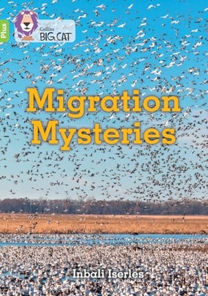 Iserles, Inbali. Migration Mysteries - Band 11+/Lime Plus. HarperCollins Publishers, 2022.
