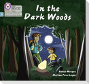 In the Dark Woods
