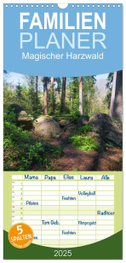 Familienplaner 2025 - Magischer Harzwald mit 5 Spalten (Wandkalender, 21 x 45 cm) CALVENDO