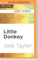 Little Donkey: A Short Story