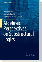 Algebraic Perspectives on Substructural Logics