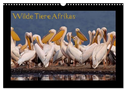 Wilde Tiere Afrikas (Wandkalender 2025 DIN A3 quer), CALVENDO Monatskalender