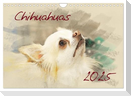 Chihuahuas 2025 (Wandkalender 2025 DIN A4 quer), CALVENDO Monatskalender