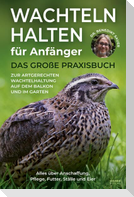 Wachteln halten für Anfänger