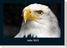 Adler 2023 Fotokalender DIN A4