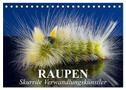 Raupen - Skurrile Verwandlungskünstler (Tischkalender 2025 DIN A5 quer), CALVENDO Monatskalender