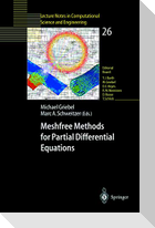 Meshfree Methods for Partial Differential Equations