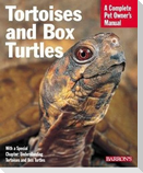 Tortoises and Box Turtles
