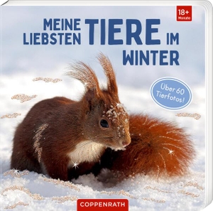 Meine liebsten Tiere im Winter. Coppenrath, 2026.