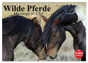 Wilde Pferde. Mustangs in USA (Tischkalender 2025 DIN A5 quer), CALVENDO Monatskalender