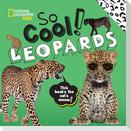 So Cool! Leopards
