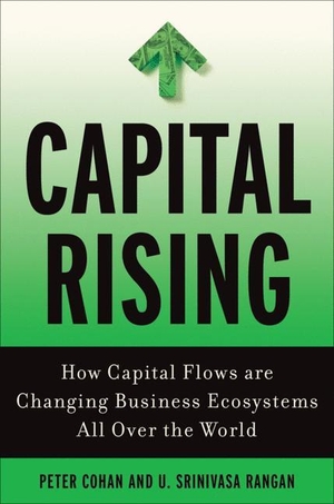 Rangan, U. / P. Cohan. Capital Rising - How Capital Flows Are Changing Business Systems All Over the World. Palgrave Macmillan US, 2010.