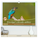Eisvögel (Alcedo atthis) - Edelsteine der Natur (hochwertiger Premium Wandkalender 2024 DIN A2 quer), Kunstdruck in Hochglanz