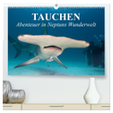 Tauchen - Abenteuer in Neptuns Wunderwelt (hochwertiger Premium Wandkalender 2024 DIN A2 quer), Kunstdruck in Hochglanz