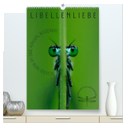 LibellenLiebe - Schau mir in die Augen, Kleines! (hochwertiger Premium Wandkalender 2025 DIN A2 hoch), Kunstdruck in Hochglanz
