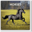 Horses - Pferde 2027 - 16-Monatskalender