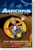 The Encounter (Animorphs Graphix #3)