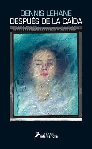 Lehane, Dennis. Después de la Caída / Since We Fell. Prh Grupo Editorial, 2019.