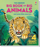 Big Book of Big Animals
