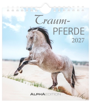 Neumann Verlage GmbH & Co KG (Hrsg.). Traumpferde 2027 - Postkartenkalender 16x17 cm mit 12 Pferdemotiven, Tisch- und Wandkalender, 12 Postkarten zum Heraustrennen. Neumann Verlage GmbH & Co, 2026.