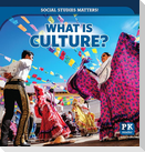 What Is Culture?