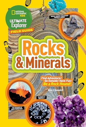 Honovich, Nancy. Ultimate Explorer Field Guide: Rocks and Minerals. Disney - Rhcb, 2016.