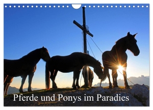 Kramer, Christa. Pferde und Ponys im Paradies (Wandkalender 2024 DIN A4 quer), CALVENDO Monatskalender - Pferde und Ponys im Salzburger Land. Calvendo Verlag, 2023.