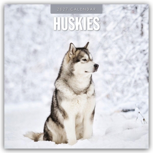 Red, Robin. Huskies - Husky - Huskys 2027 - 16-Monatskalender - Original Red Robin Publishing Ltd-Kalender [Mehrsprachig] [Kalender]. Browntrout Verlags GmbH, 2026.