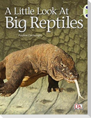Bug Club Guided Non Fiction Year 1 Blue B A Little Look at Big Reptiles