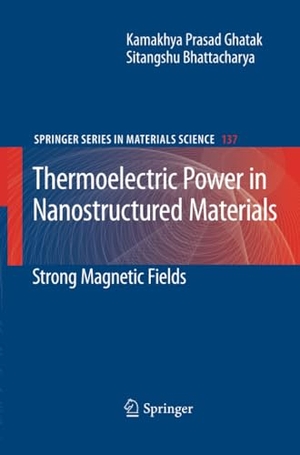Bhattacharya, Sitangshu / Kamakhya Prasad Ghatak. Thermoelectric Power in Nanostructured Materials - Strong Magnetic Fields. Springer Berlin Heidelberg, 2012.