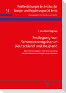 Festlegung von Stromnetzentgelten in Deutschland und Russland