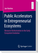 Public Accelerators in Entrepreneurial Ecosystems