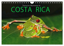 COSTA RICA - Tierische Momente (Wandkalender 2024 DIN A4 quer), CALVENDO Monatskalender