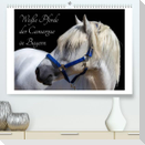 Weiße Pferde der Camargue in Bayern (Premium, hochwertiger DIN A2 Wandkalender 2023, Kunstdruck in Hochglanz)