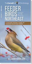 Feeder Birds of the Northeast