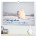 Samojeden - Liebenswerte Fellkugeln (hochwertiger Premium Wandkalender 2025 DIN A2 quer), Kunstdruck in Hochglanz
