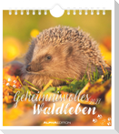Geheimnisvolles Waldleben 2027