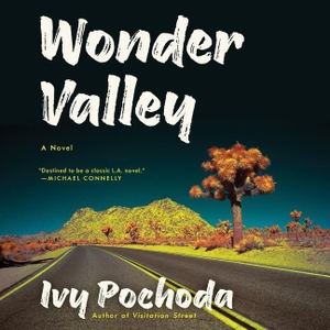 Pochoda, Ivy. Wonder Valley. Blackstone Publishing, 2017.