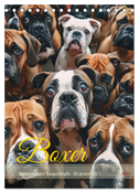Boxer - Liebenswerte Kasperköpfe (Tischkalender 2025 DIN A5 hoch), CALVENDO Monatskalender