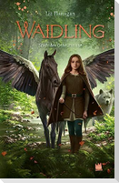 Waidling (Band 2): Stadt der Geheimnisse