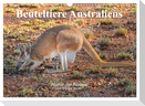 Beuteltiere Australiens (Wandkalender 2025 DIN A3 quer), CALVENDO Monatskalender