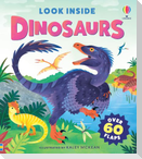 Look Inside Dinosaurs