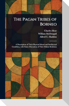 The Pagan Tribes of Borneo