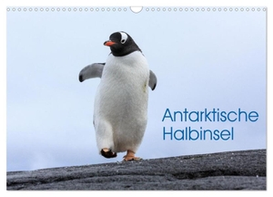 Oberholzer, David. Antarktische Halbinsel (Wandkalender 2024 DIN A3 quer), CALVENDO Monatskalender - Tier- und Lanschaftsaufnahmen von der Antarktischen Halbinsel. Calvendo, 2023.
